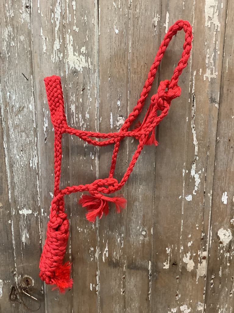 Mule Tape Halter