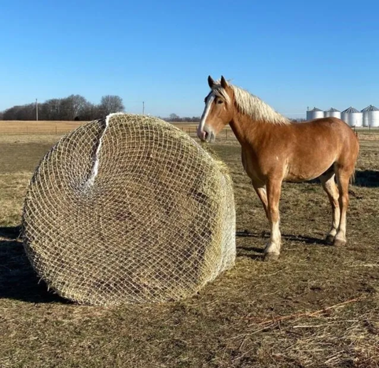 Large Slow Feed Bale Net FREE Shipping